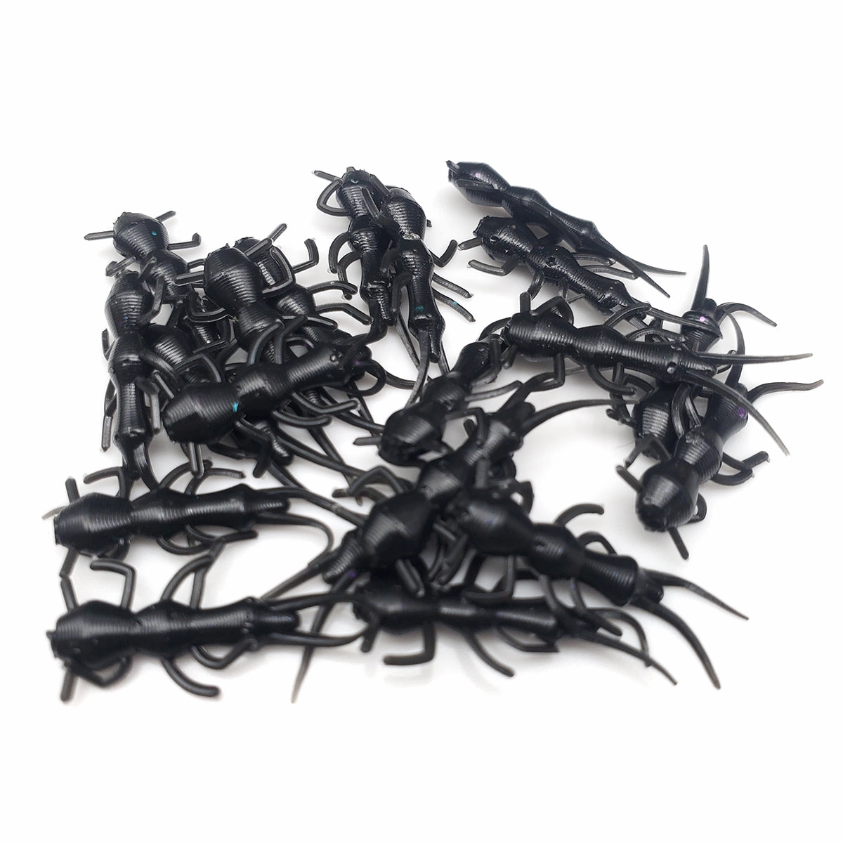 Black - Stonefly Larvae