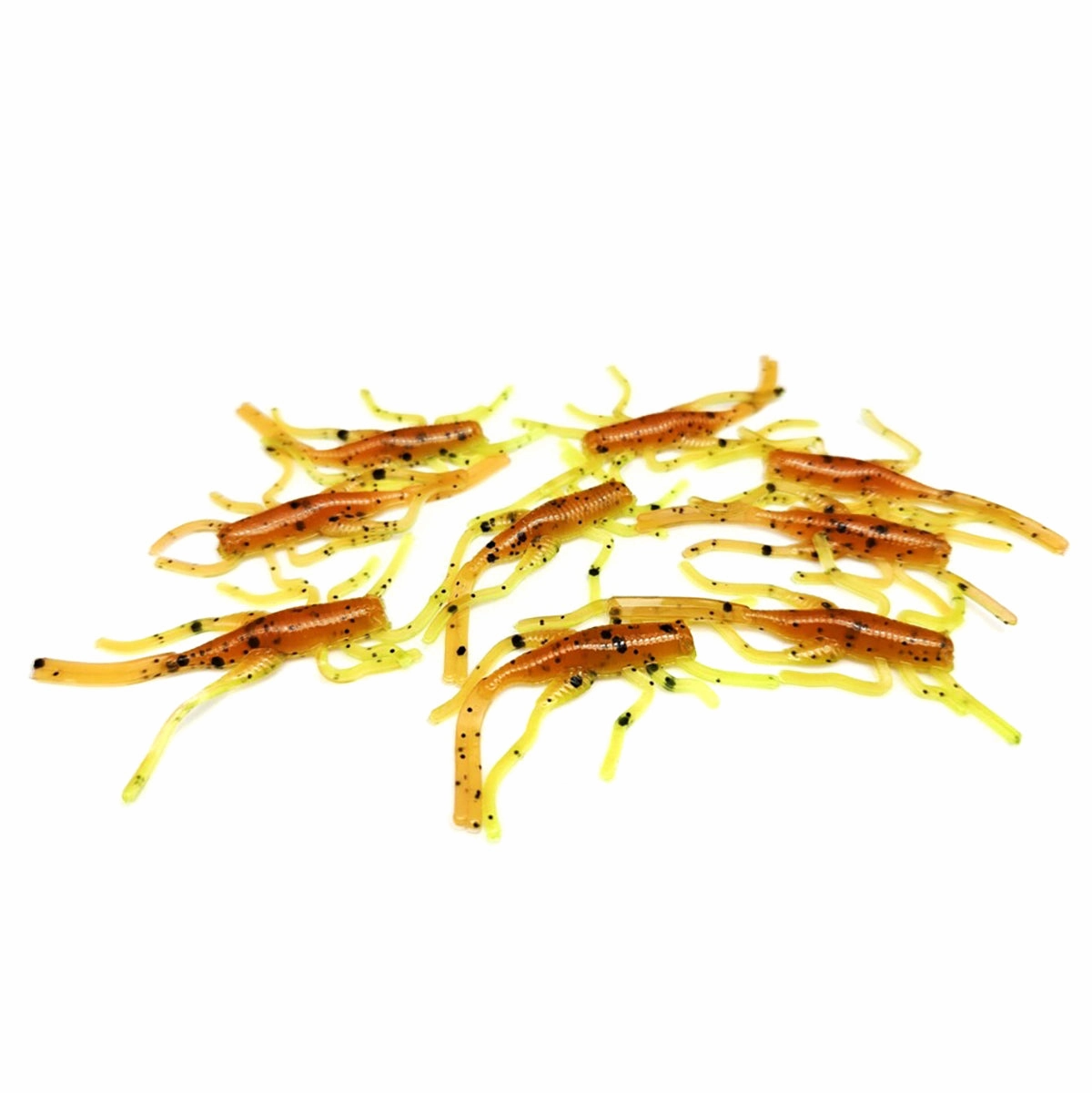 Cajun Cricket - Cricket
