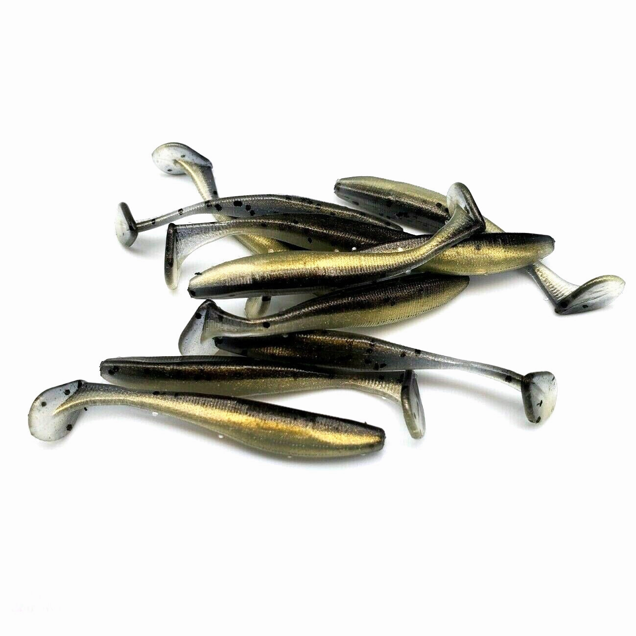 Fathead Minnow - Slim Shad Minnow