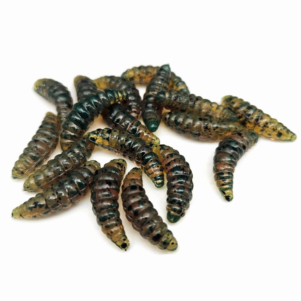 Motor Oil - Wax Worms