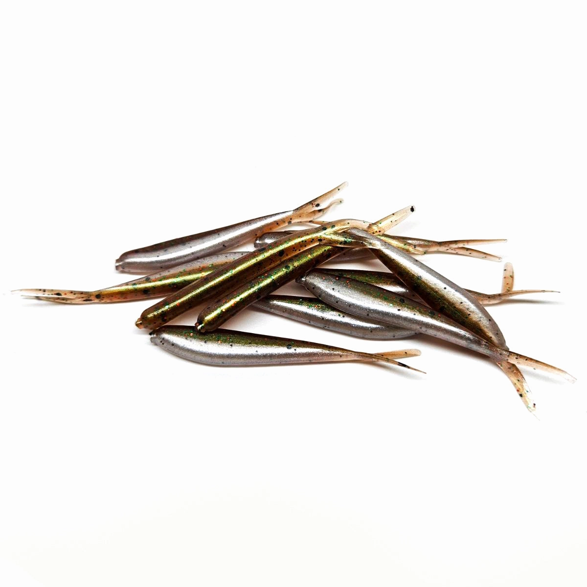 Swamp Minnow - Split-Tail Minnow